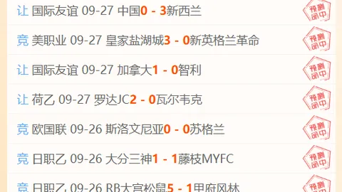 选手转会加盟，战队新阵容备受期待